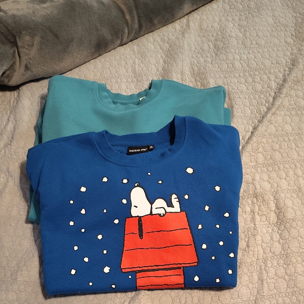 Blue Snoopy//Levi's Sweatshirt